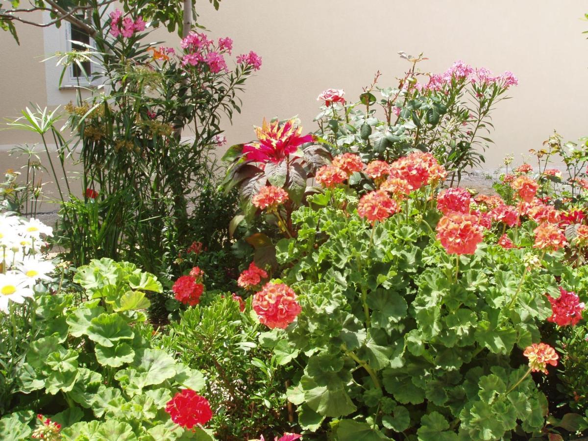 Apartments With A Parking Space Povljana, Pag - 228 المظهر الخارجي الصورة