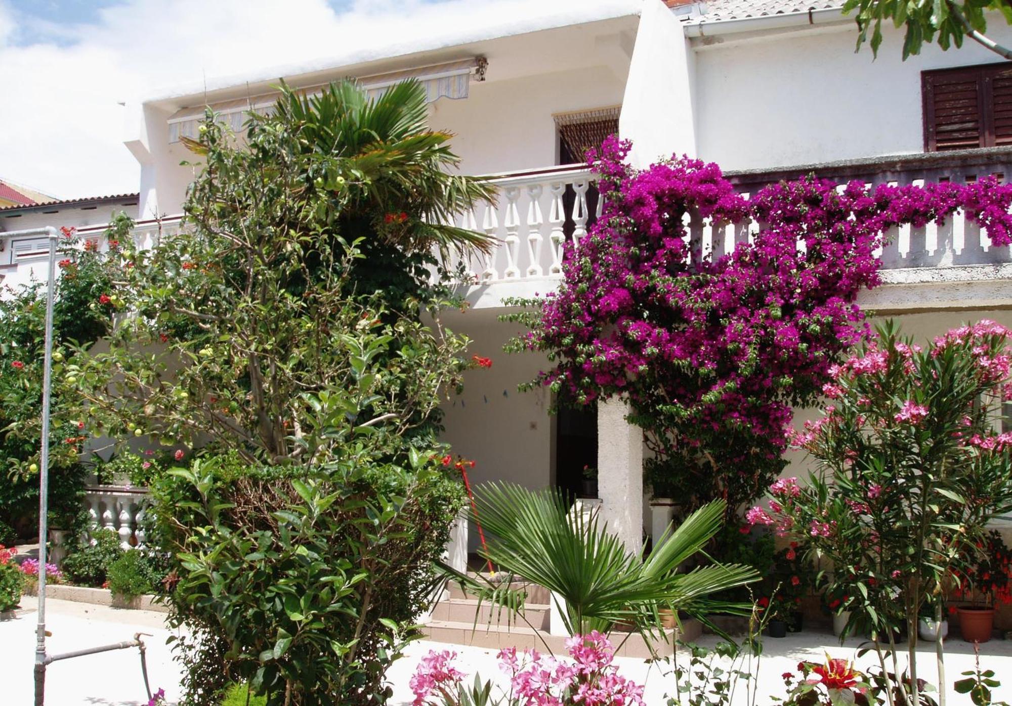 Apartments With A Parking Space Povljana, Pag - 228 المظهر الخارجي الصورة